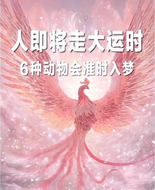 梦见灵兽的深层意义揭示潜在心理暗示与未来预兆