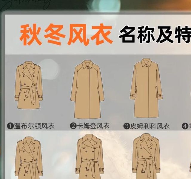 揭秘梦见风衣的隐藏意义心理专家的5大深度解析