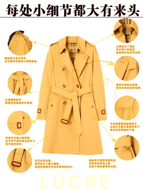 揭秘梦见风衣的隐藏意义心理专家的5大深度解析