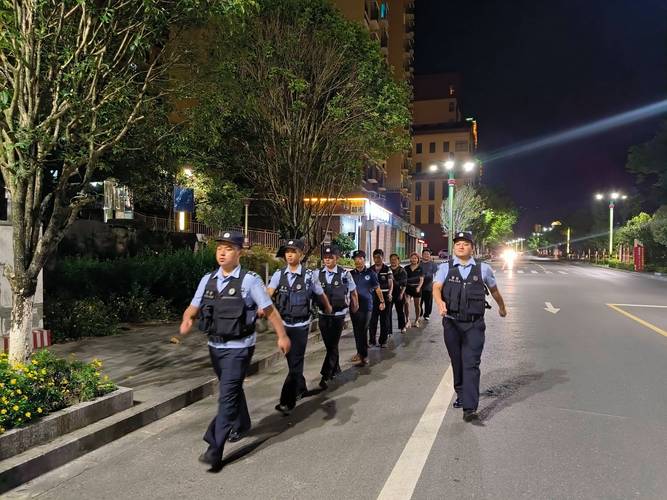 解析梦见巡逻车3大心理解读及专家建议，提升生活幸福感