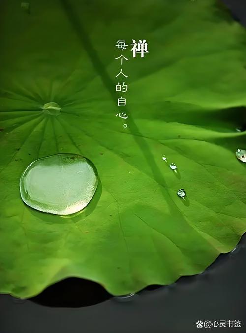 梦见绿色衣服的深层寓意解析，用户探索内心和平与活力！