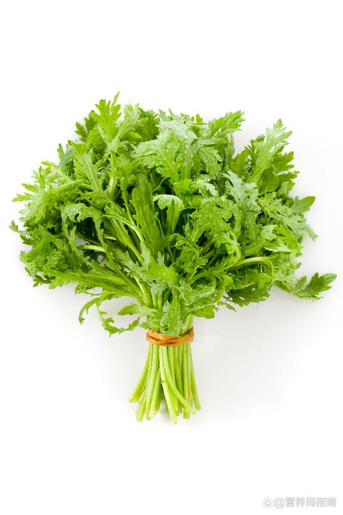 梦见绿色衣服的深层寓意解析，用户探索内心和平与活力！