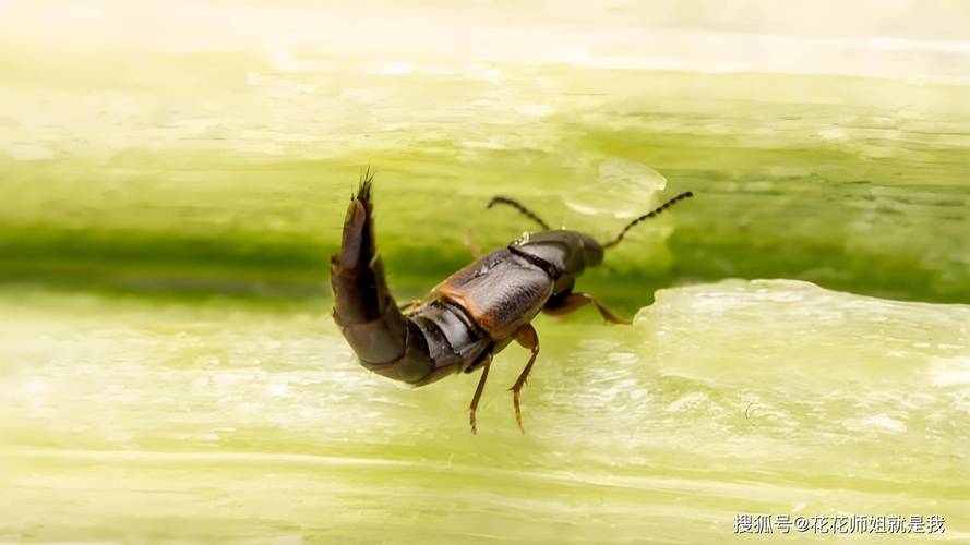 梦见烟筒的深层解读，答案内心世界与成长的象征！