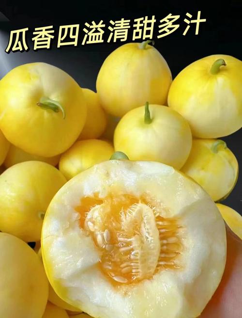 梦见甜瓜预示哪些？揭示梦境中隐藏的生活寓意