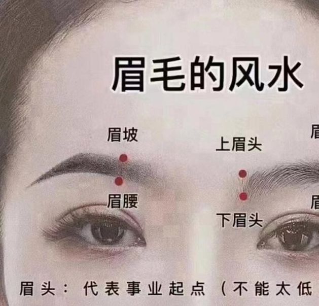 解析梦见眉毛生长的含义，揭示背后心理暗示