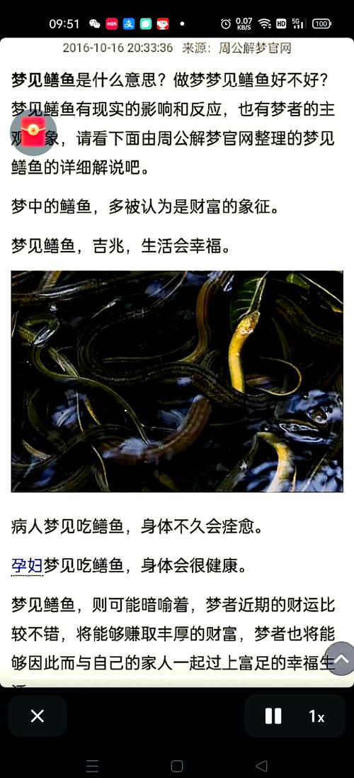 梦见鳝鱼的深层寓意及心理解析不为人知的内心启示