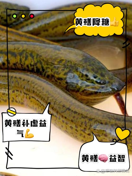 梦见鳝鱼的深层寓意及心理解析不为人知的内心启示