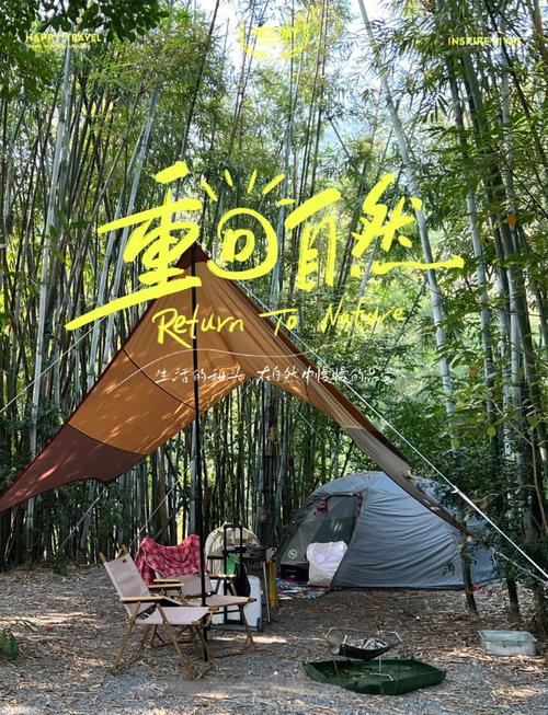 梦见山谷露营预示哪些？解读你的心灵冒险体验