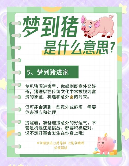 梦见骑猪的5个心理暗示解析，专家解读！