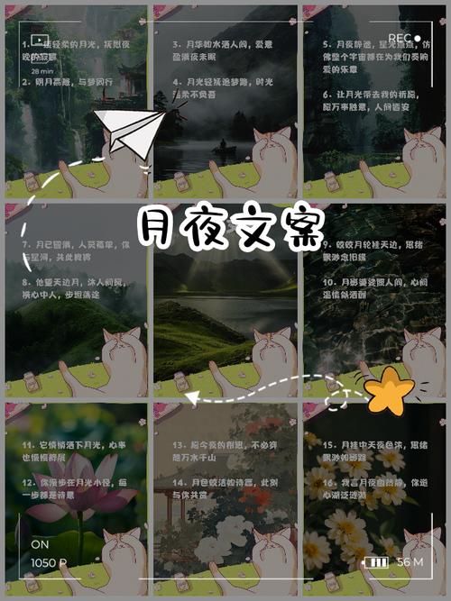 解析梦境解读梦见月夜象征意义的5大权威观点