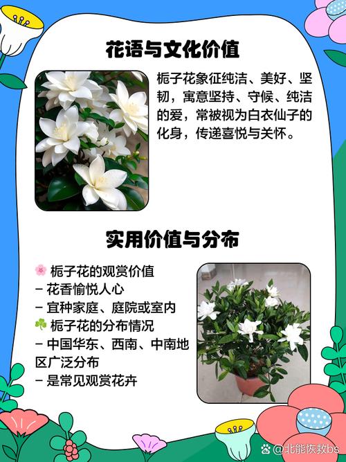 梦见栀子花含义解析吉祥象征 vs 心理暗示的深层解读 梦见栀子花含义解析吉祥象征 vs 心理暗示的深层解读