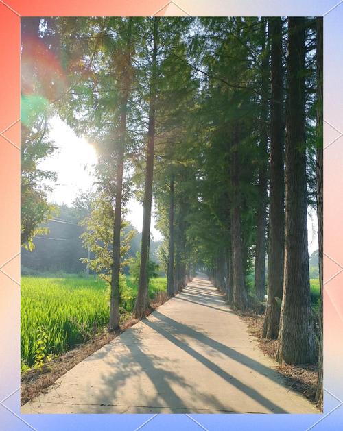 梦见乡村的深刻寓意探索宁静生活的心理启示 梦见乡村的深刻寓意探索宁静生活的心理启示