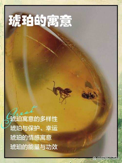 梦见琥珀的象征意义财富预兆 vs 心灵净化?如何解读您的梦境 梦见琥珀的象征意义财富预兆 vs 心灵净化?如何解读您的梦境