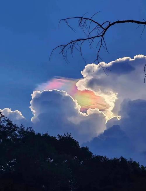 梦见云上意味着哪些?揭秘其背后深意与高效解决方案 梦见云上意味着哪些?揭秘其背后深意与高效解决方案