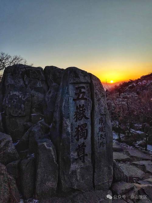 揭秘泰山登顶挑战：2025年4月27日，抢夺3万奖金内幕！