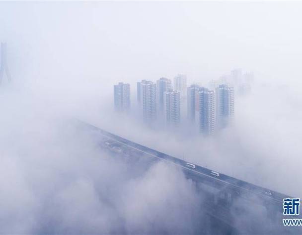 梦见大雾象征哪些?5个权威心理学解析必知 梦见大雾象征哪些?5个权威心理学解析必知