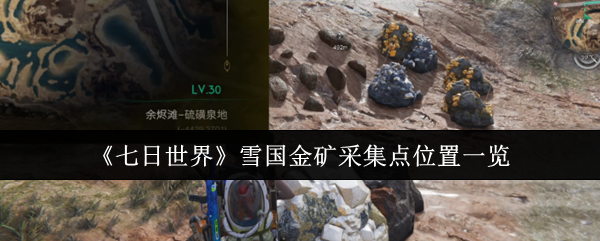 如何找到七日世界雪国金矿的最佳采集点？