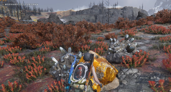 如何找到七日世界雪国金矿的最佳采集点？