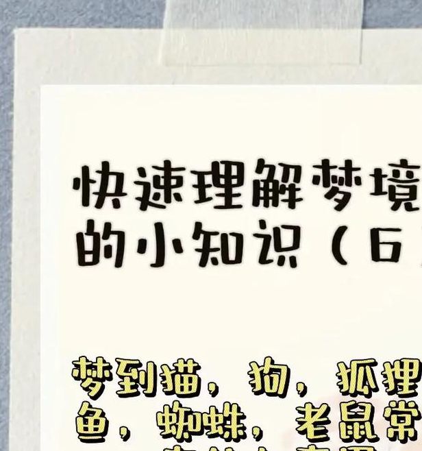 梦见宠物的深意揭示潜意识与情感联结的高效分析