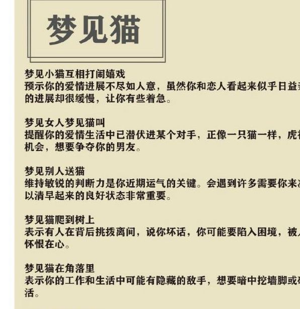 梦见宠物的深意揭示潜意识与情感联结的高效分析