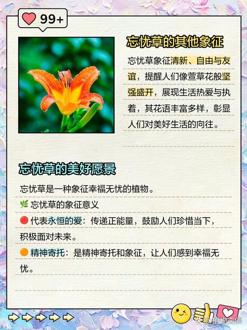 梦见草本植物的深度解读了解象征意义与梦境分析技巧