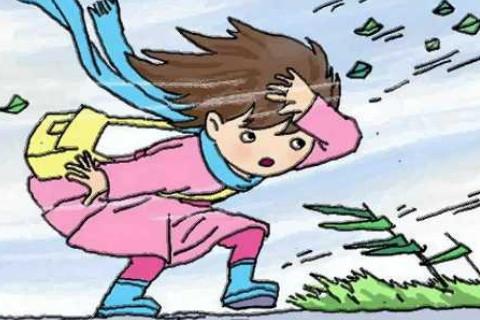 梦见刮大风的深层含义解读你的内心情感变化与潜在挑战