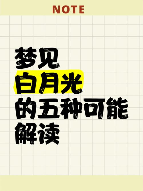 梦见月亮照射意味着哪些？解析梦境蕴含的神秘力量与启示