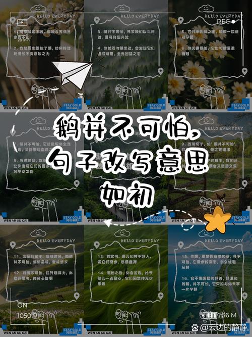 梦见鹅毛笔背后的深刻含义与心灵启迪，引发读者共鸣！