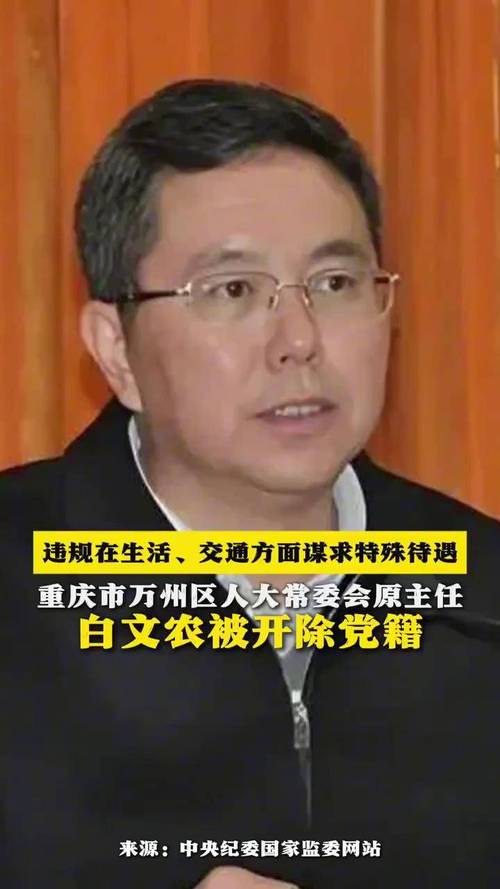 白文农简历揭秘：正厅级干部被开除党籍背后的原因是什么？探寻2025年4月18日的重大决策！