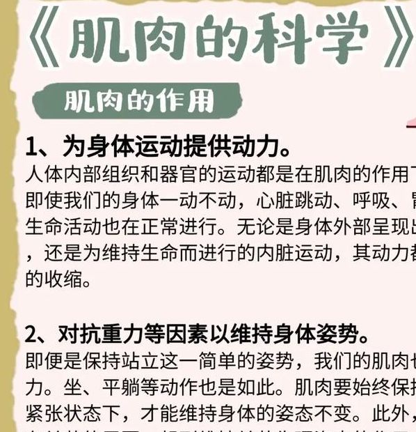 解析梦见肌肉的5种象征意义,揭示心理暗示 解析梦见肌肉的5种象征意义,揭示心理暗示