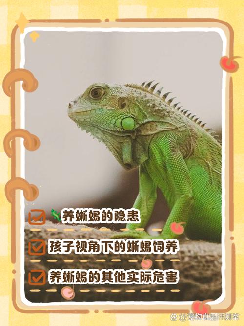 蜥蜴梦象征解析心理学专家揭示10个深层次含义