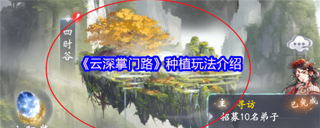 如何在〈云深掌门路〉中高效种植获取更多收益？