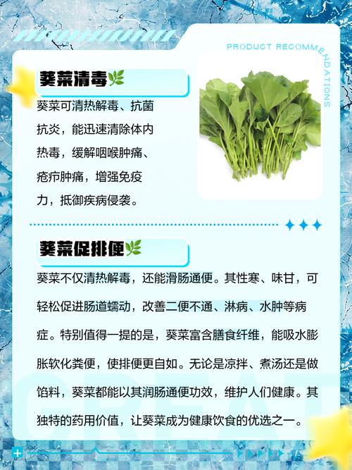 解读梦见葵菜的象征意义，掌握内心成长的秘诀