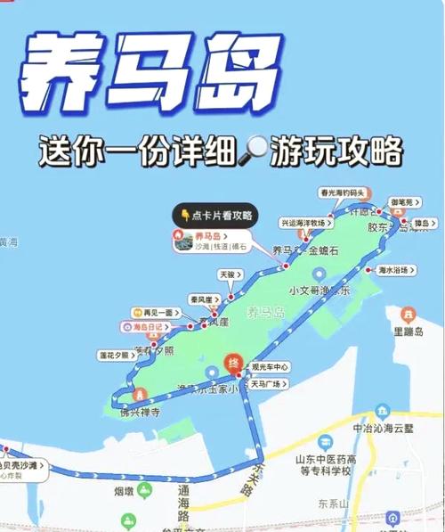 牟平区五一交通管制：养马岛为何成重点关注？