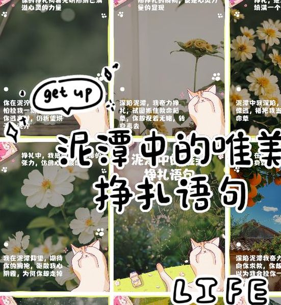 解读梦见泥潭的深层含义提升个人心理洞察力与幸福感 解读梦见泥潭的深层含义提升个人心理洞察力与幸福感