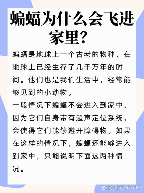 梦见吸血蝙蝠的深层含义解读心理学专家的7个观点 梦见吸血蝙蝠的深层含义解读心理学专家的7个观点