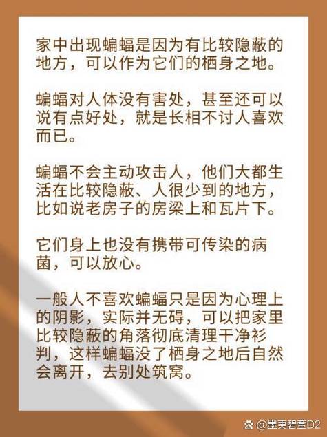 梦见吸血蝙蝠的深层含义解读心理学专家的7个观点 梦见吸血蝙蝠的深层含义解读心理学专家的7个观点