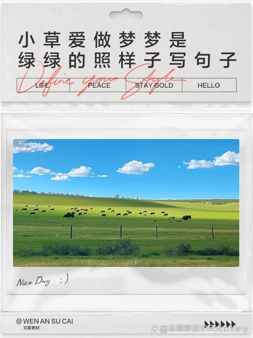 梦见草莆意味着哪些？解读梦境中的深层含义与个人运势