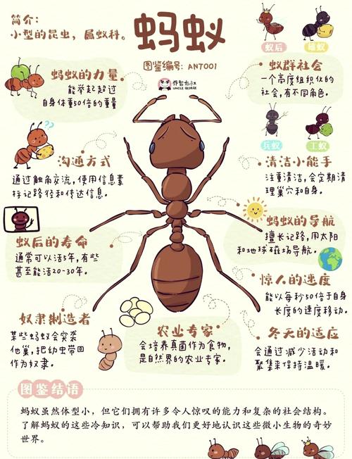 梦见食物上有蚂蚁的深层心理解析揭示潜在生活挑战与应对策略
