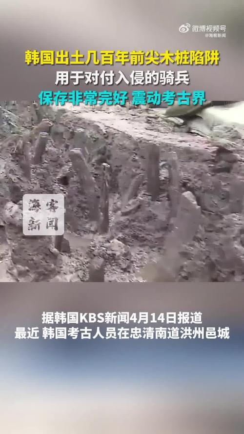 神秘尖木桩陷阱：韩国考古新发现揭示数百年前的秘密