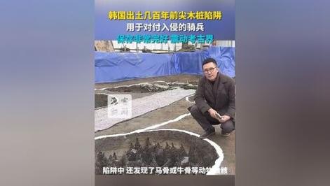 神秘尖木桩陷阱：韩国考古新发现揭示数百年前的秘密