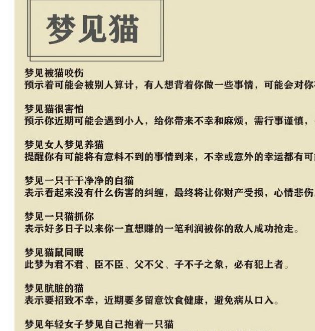 揭秘梦见猫生小猫寓意如何解读梦境中的新生命启示？