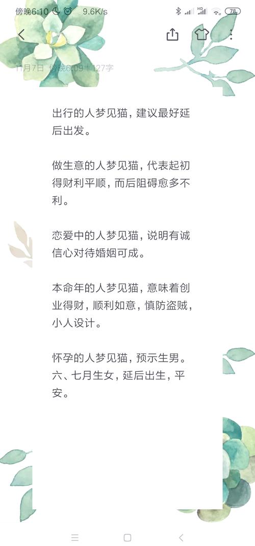 揭秘梦见猫生小猫寓意如何解读梦境中的新生命启示？