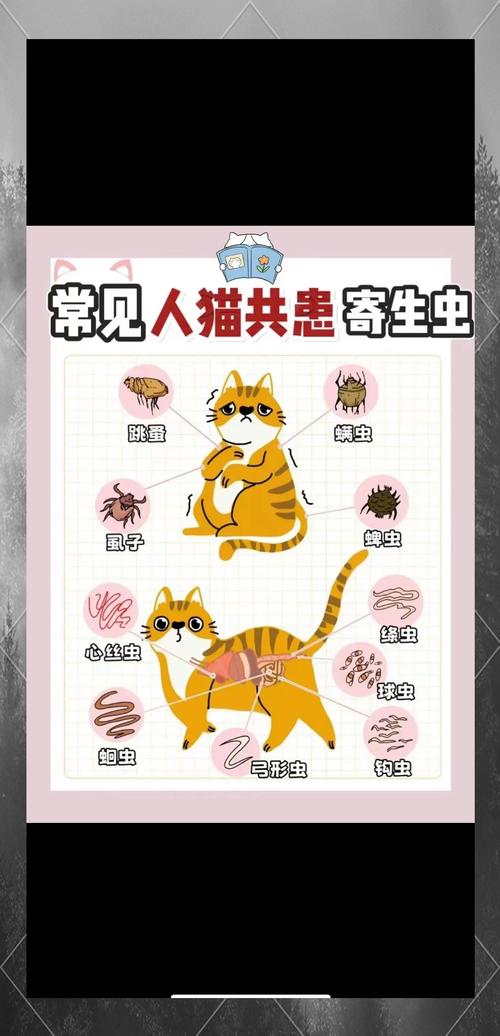 解梦寄生虫7种寓意及应对策略详解