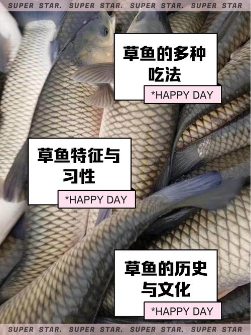 梦见草鱼的深刻寓意解析，用户揭示内心渴望与成长动力！