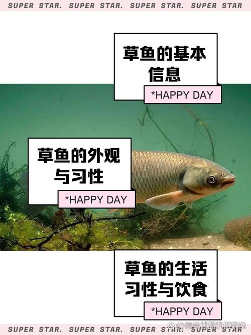 梦见草鱼的深刻寓意解析，用户揭示内心渴望与成长动力！