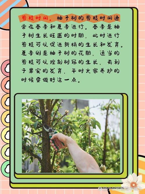 梦见柚子树预示哪些？解读5个常见梦境象征及意义