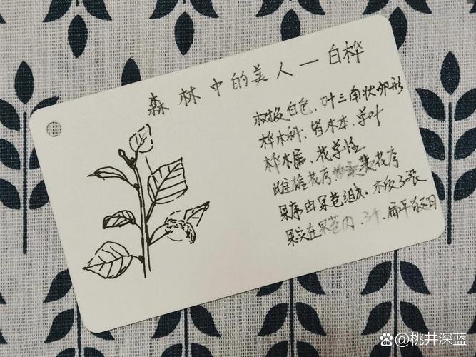 梦见桦树象征解析探索内心宁静，解读梦境深层含义！