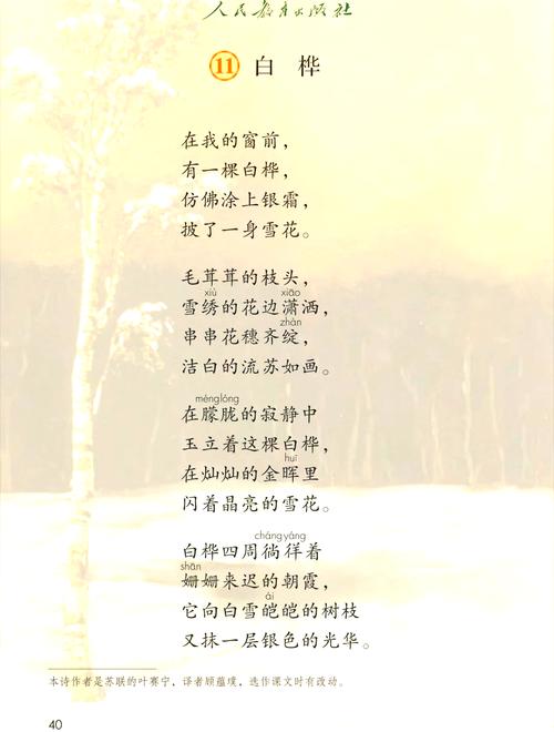 梦见桦树象征解析探索内心宁静，解读梦境深层含义！