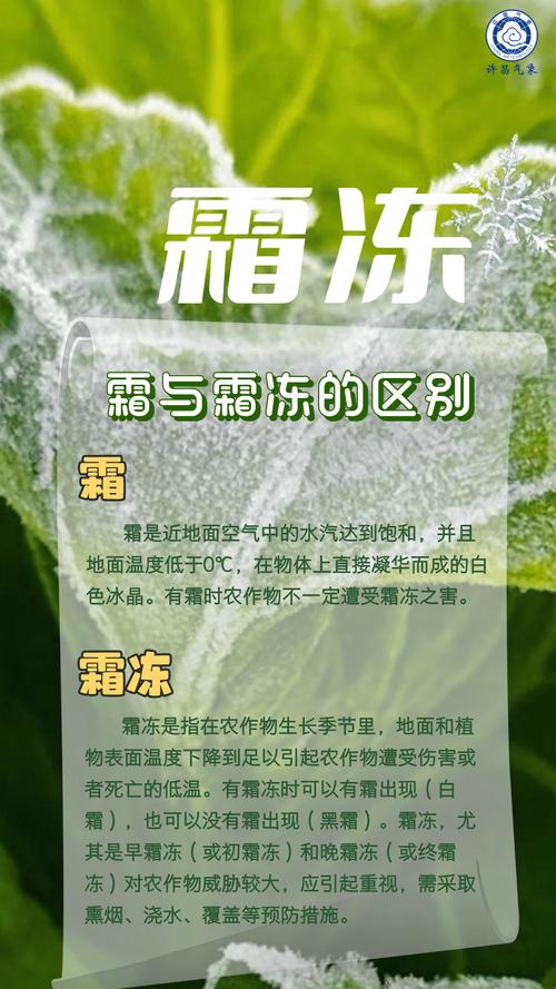 梦见冰霜的象征意义探索内心变化的高效解决方案